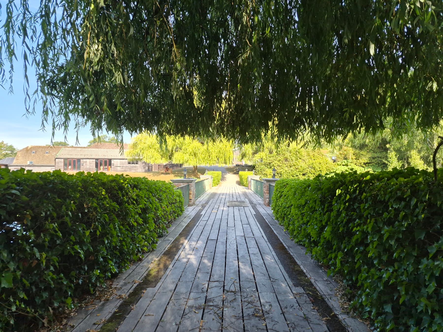 Looking across the footbridge under the willow, toward the buildings at Hawkhurst Fish Farm
