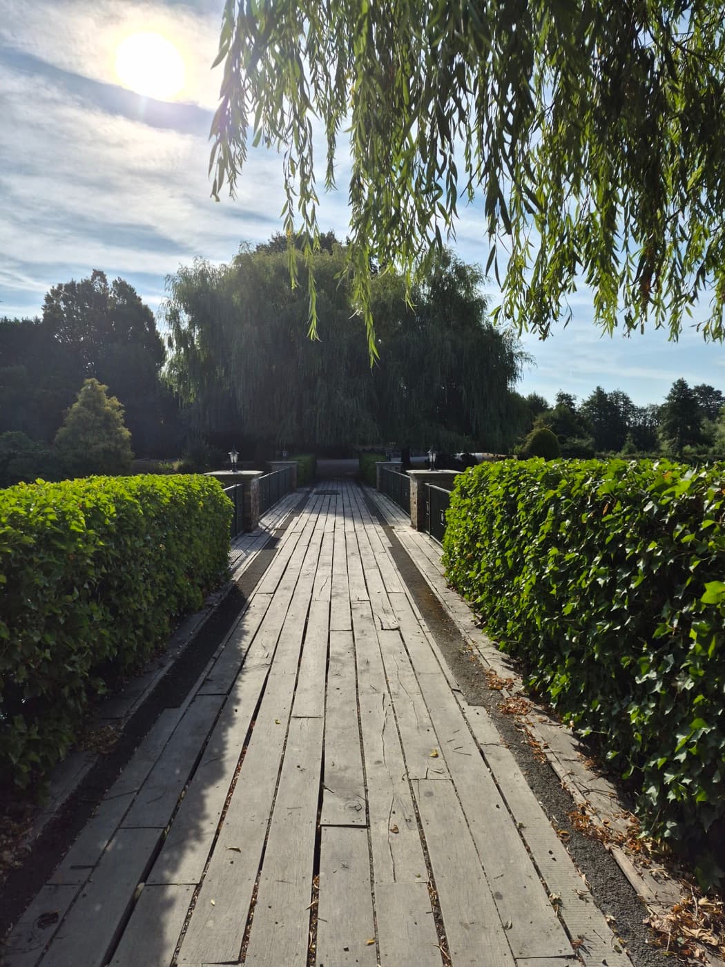 The wooden footbridge between clipped hedges, leading across the water in morning sun