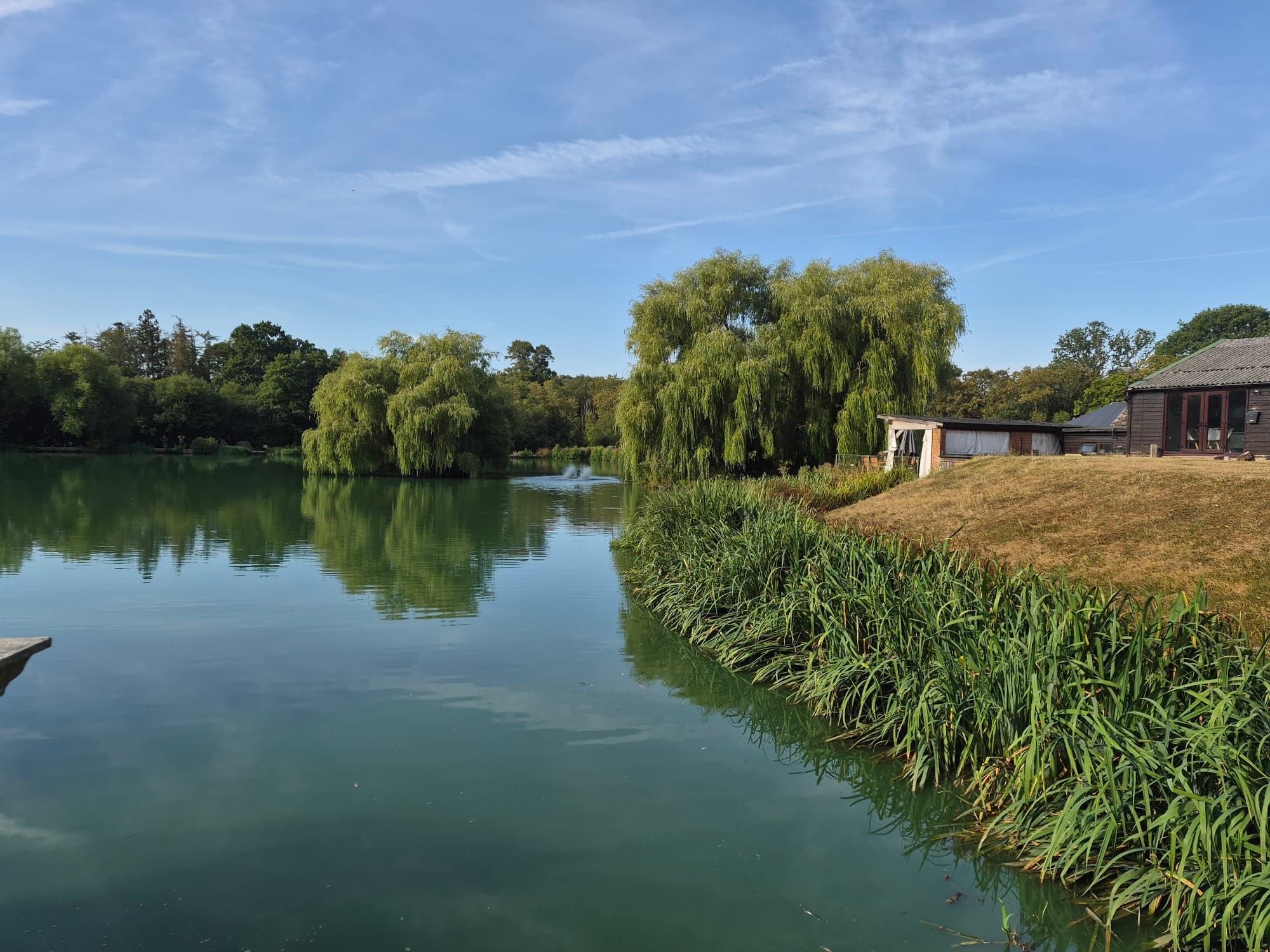 The oak-planked bridge over the water, held between brick pillars, lanterns and willows